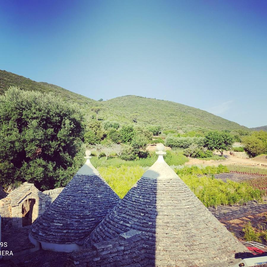 Masseria Calo โมโนโปลี ภายนอก รูปภาพ