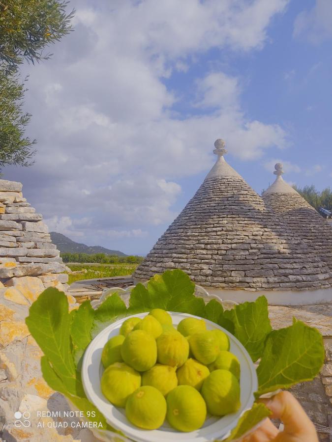 Masseria Calo โมโนโปลี ภายนอก รูปภาพ